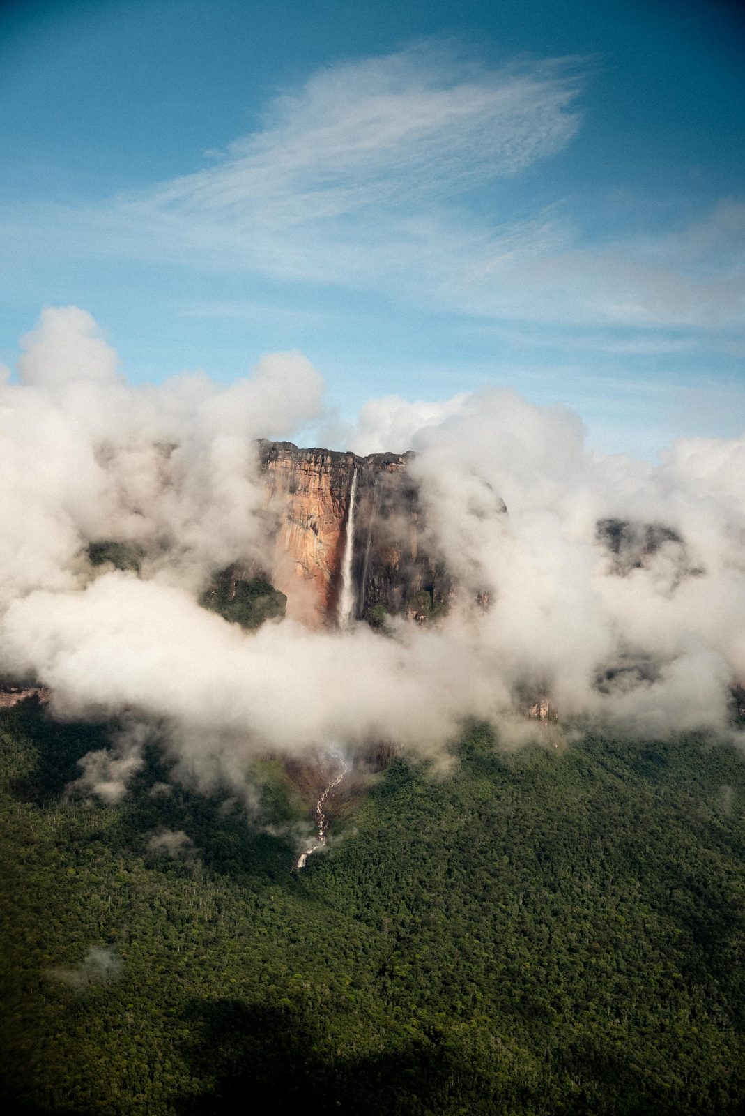 Salto Ángel cayendo del Auyantepui entre nubes, sobre la selva